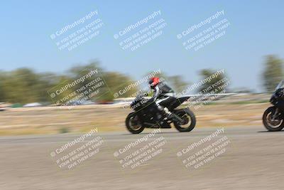 media/Sep-07-2025-Pacific Track Time (Sun) [[a6322260b9]]/A and B Group/Wheelie Bump A and B/